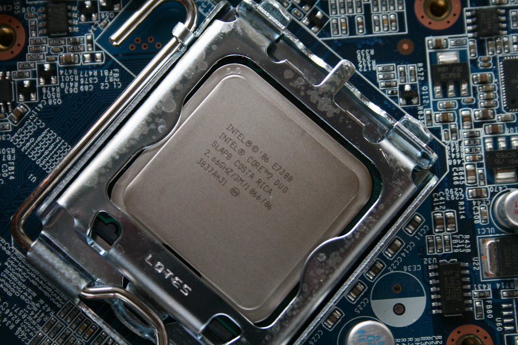 Eine Intel CPU in ihrem Sockel